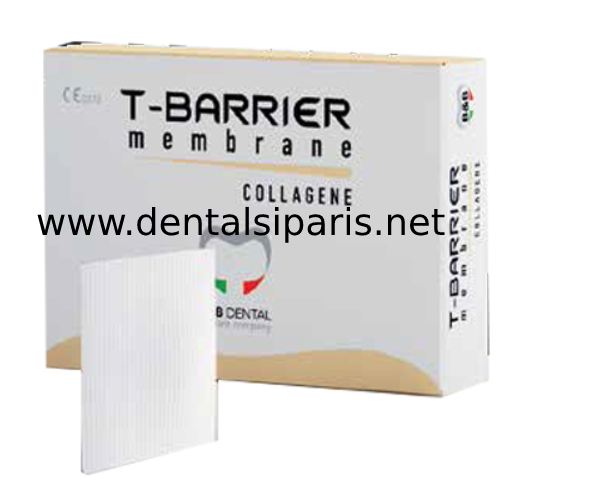 B&B Dental T-Barrier Collagen Membran - 23*23 mm