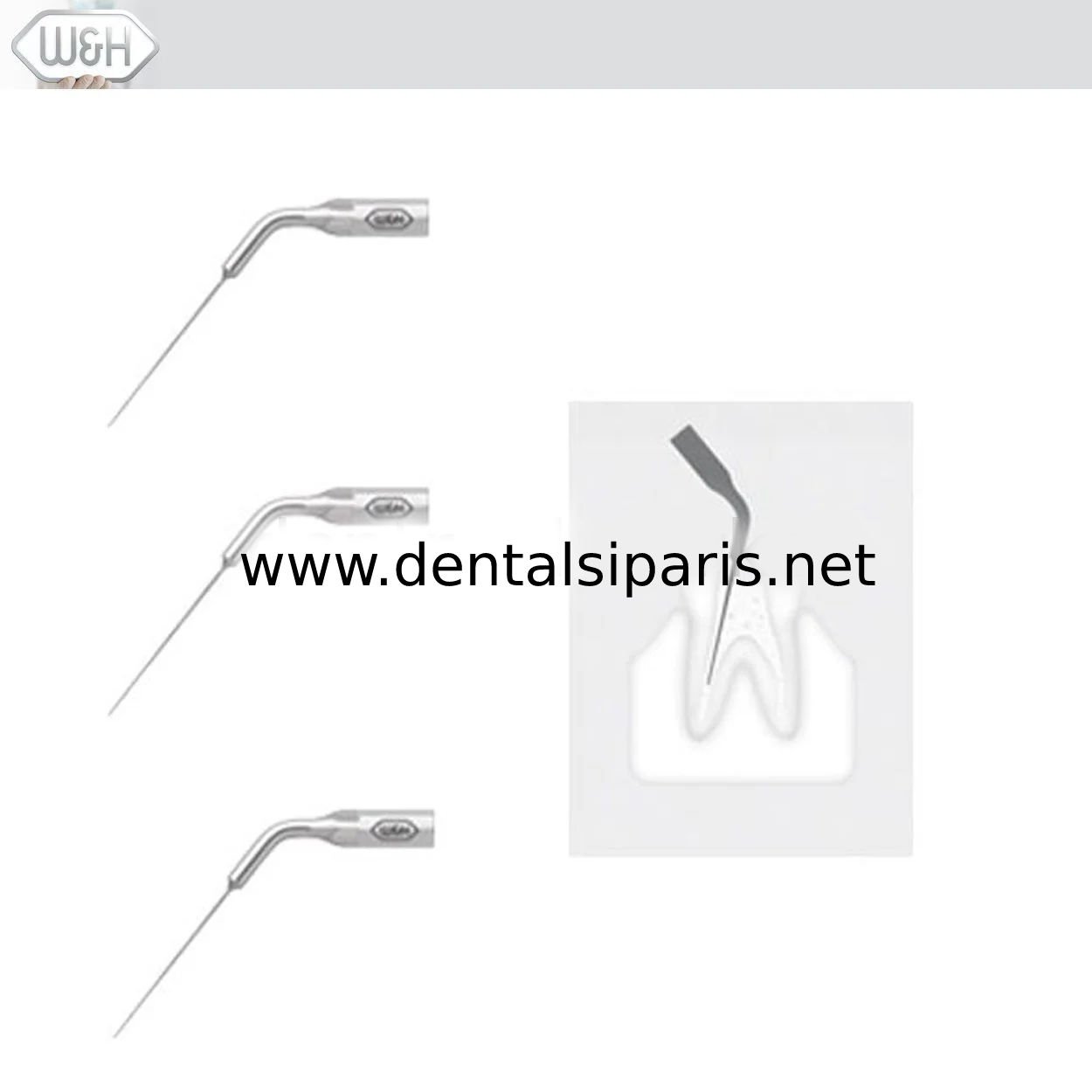 Kavitron-Scaler  Uçları- Endo Uç Set