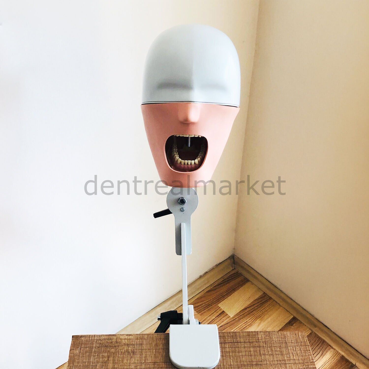 Masaya Monte Ekonomik Model Fantom Kafa