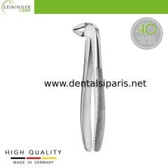 Yetişkin Davye 33 - Alt Kökler