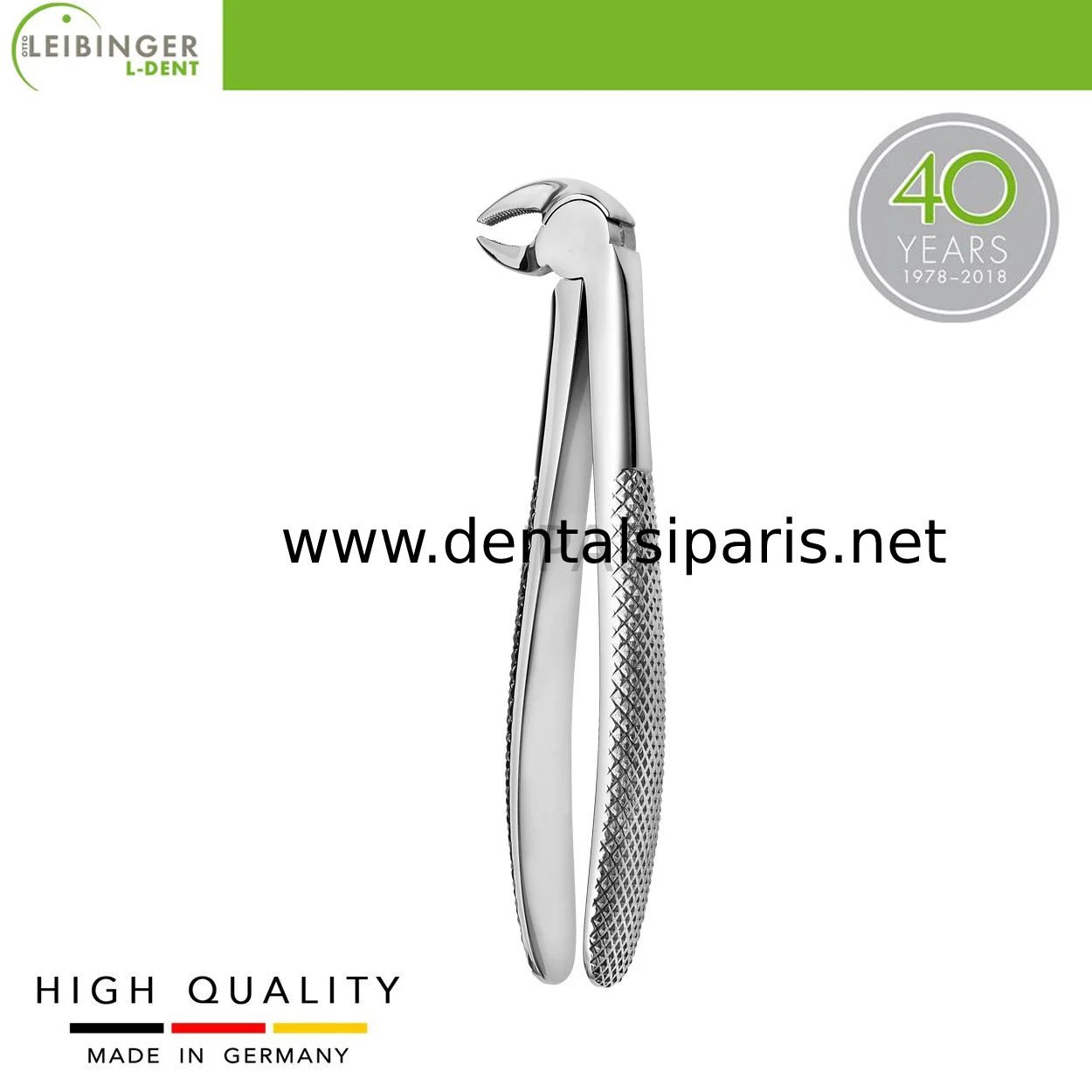 Yetişkin Davye 13 - Alt Kök ve Bicuspids