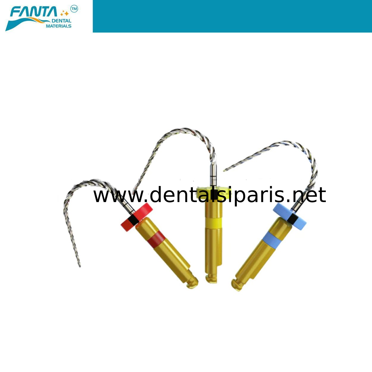 AF Rotary File Kanal Egesi